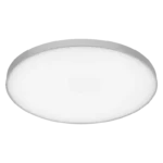 asset 10062739 PLANON FRAMELESS RD 300 19W 830