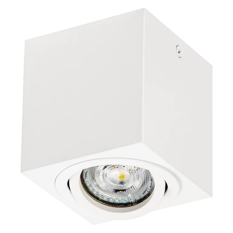 asset 13067091 spot surface